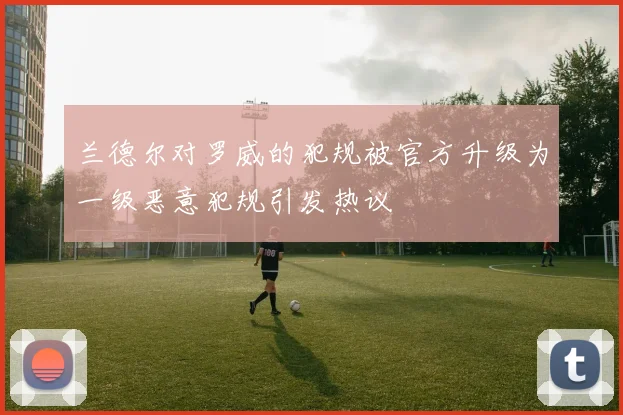 兰德尔对罗威的犯规被官方升级为一级恶意犯规引发热议