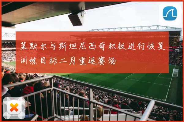 莱默尔与斯坦尼西奇积极进行恢复训练目标二月重返赛场