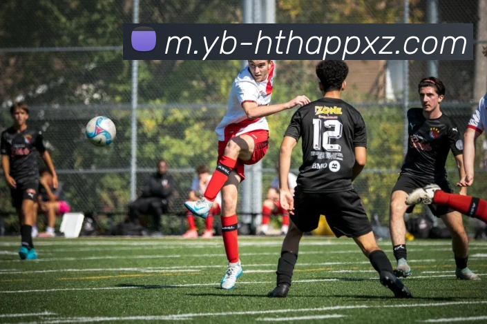 多媒体互动体验